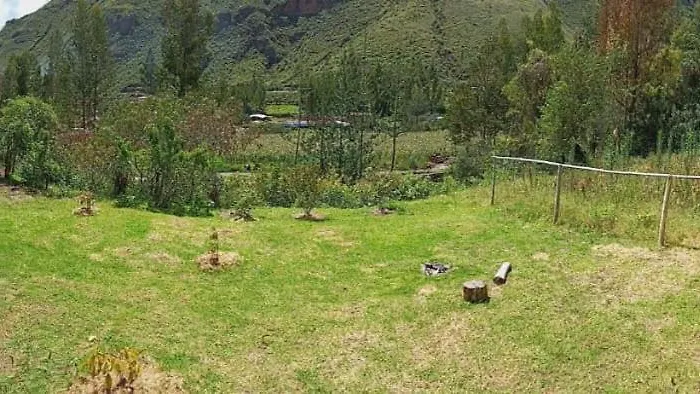 Palta Wasi *